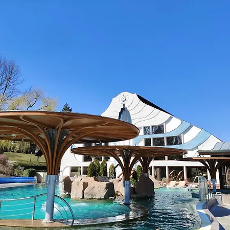 Carbona Silver Deluxe * Хевиз