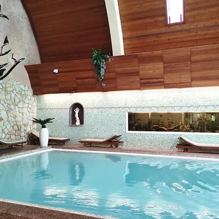 Carbona Silver Deluxe